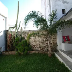 Koala Tarifa